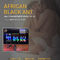 Africano negro africano Ant Pill de las píldoras de Ant Capsules 30